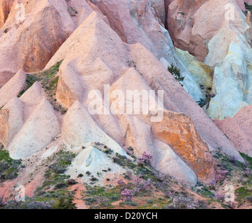 Il tufo erosione nella Valle delle Rose, vicino Goereme, Goereme National Park, UNESCO sito Natura, Cappadocia, Anatolia, Turchia Foto Stock