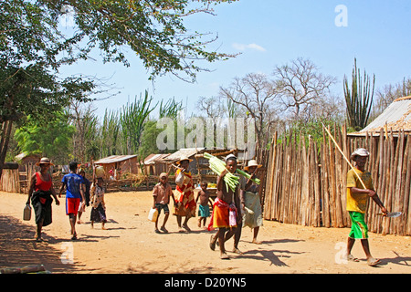 Comunità Ifotaka area boschiva vicino al fiume mandare, Madagascar meridionale Foto Stock