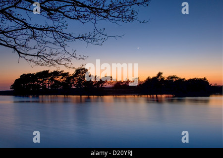 Hatchet Pond New Forest National Park Foto Stock