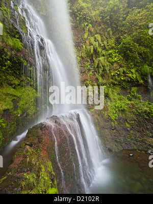 Levada e cascata vicino Caldeirao Verde, Queimadas Forest Park, Madeira, Portogallo Foto Stock