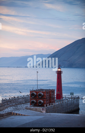 Gli uccelli sul molo e il faro al tramonto, Iquique, Tarapaca, Cile, Sud America Foto Stock