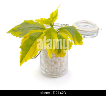 Biberon riempito con l omeopatia pillole e un impianto Foto Stock