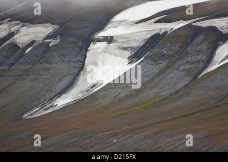 Orso polare in distanza, Nordaustlandet, Svalbard, Norvegia, Europa Foto Stock