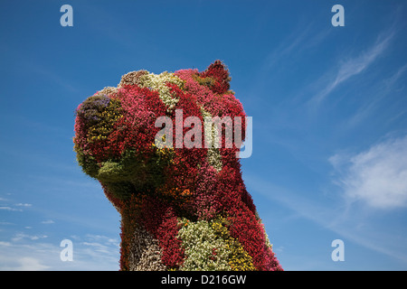 Cucciolo di artista Jeff Koons al Guggenheim Museum Bilbao - Bilbao Biscay, Spagna Foto Stock