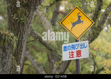 Cartine segno di attraversamento di cervi di Nara street, Kyoto, Giappone Foto Stock