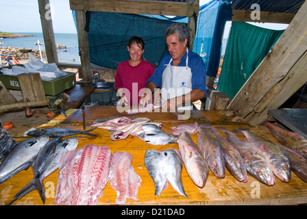 Outdoor mercato del pesce in Piriapolis Uruguay Foto Stock