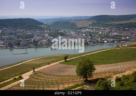 Vista attraverso i vigneti, il fiume Reno e Bingen dal monumento Niederwalddenkmal, Rudesheim am Rhein, Hesse, Germania, Europa Foto Stock
