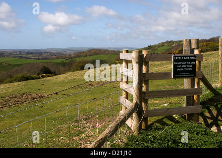 Un bacio cancello su un sentiero pubblico dando accesso a un campo sulla isola di Wight nel Regno Unito Foto Stock