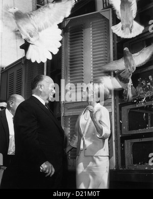 Gli uccelli 1963 Universal Pictures film con Tippi Hedren essendo diretto da Alfred Hitchcock Foto Stock