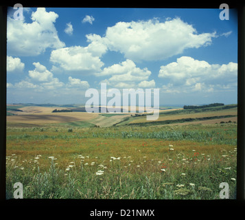 Paesaggio di campi Foto Stock