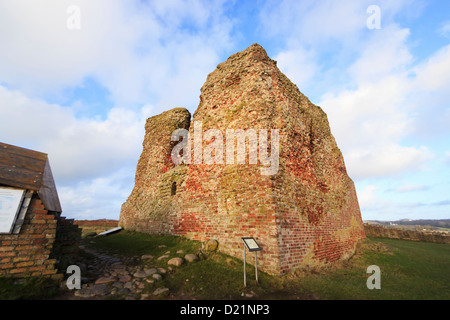 Kalo castello slot, regione Aarchus, Danimarca Foto Stock