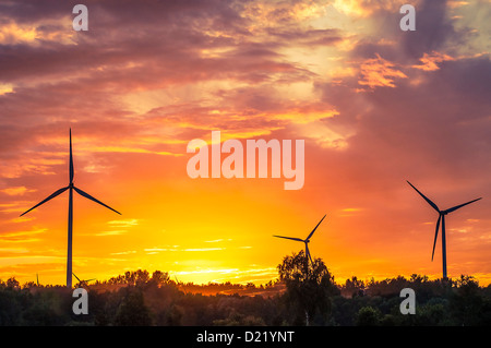 Una silhouette di windturbines su un tramonto da favola Foto Stock