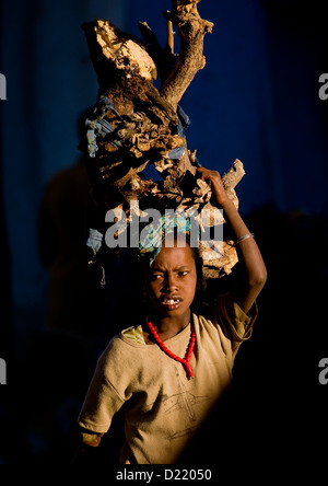 Donna che la porta in legno, Harar, Etiopia Foto Stock