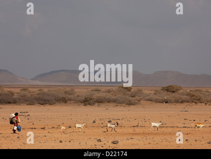 Donna Afar Waliking nel deserto, Obock, Gibuti Foto Stock