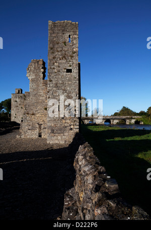 Rovinato casa torre del XIII secolo il priorato di San Giovanni Battista e il vecchio ponte sul fiume Boyne, rivestimento, nella contea di Meath, Irlanda Foto Stock