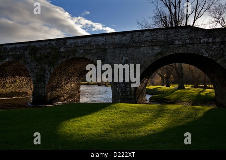 Il Ponte sul Fiume Nore, Inistioge, nella Contea di Kilkenny, Irlanda Foto Stock