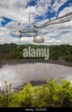 Più grande del mondo di un piatto unico radio telescopio osservatorio di Arecibo, Arecibo, Puerto Rico Foto Stock