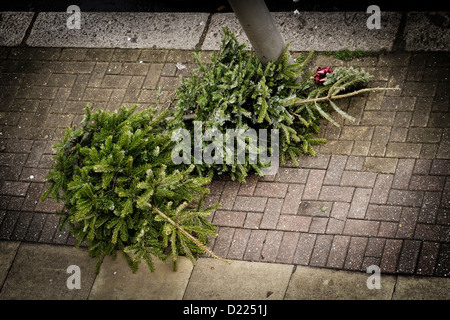 Due alberi di Natale sul pacement in attesa di essere raccolti dal garbage collector Foto Stock