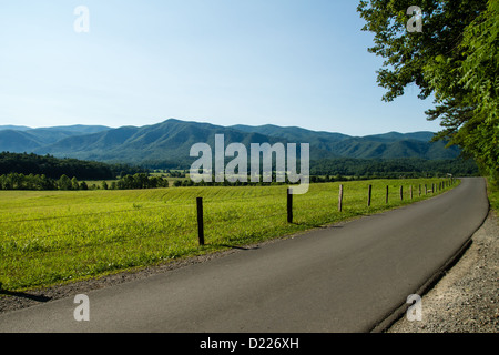 Una corsia di una strada che attraversa il Cades Cove regione delle Smoky Mountains Foto Stock