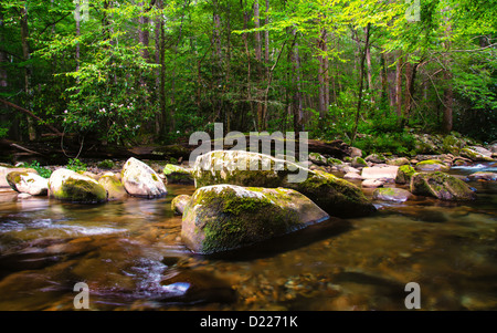 Gli alberi e la vegetazione in linea le banche di un flusso rocciosa nelle Smoky Mountains. Foto Stock