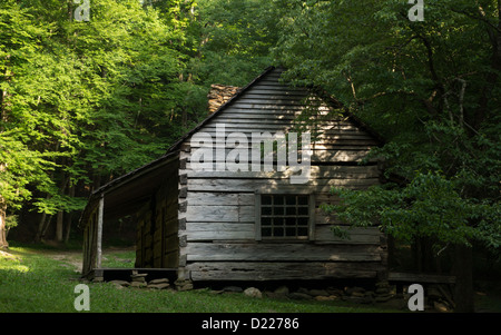 Una cabina storico è circondato da boschi nella Smoky Mountain National Park. Foto Stock