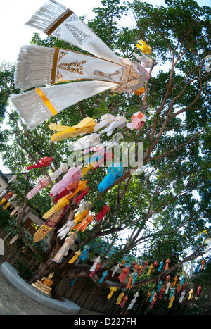 Bandiere Lanna al Wat Phan Tao in Chiang Mai Foto Stock