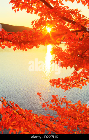 Lago Megunticook, Camden, Maine, Stati Uniti d'America Foto Stock