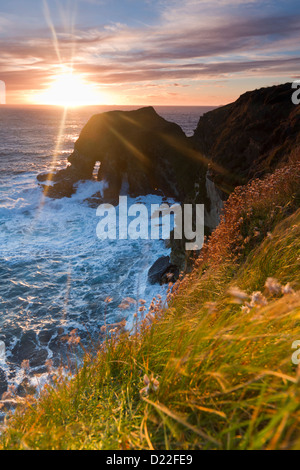 Isole Orcadi, Testa Harrabrough Foto Stock