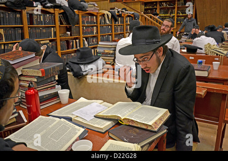 Nigun studente da Israele, studiare il Talmud presso la sede Lubavitch in Crown Heights, Brooklyn, New York. Foto Stock