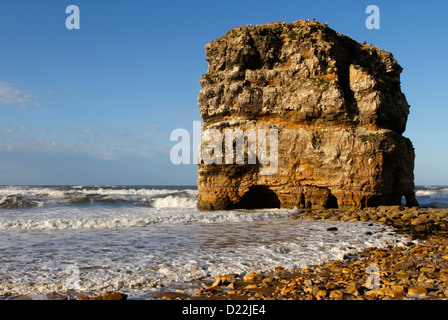 Marsden Rock, una formazione di roccia nel mare del Nord a Marsden Bay, South Shields, Tyne and Wear, England, Regno Unito Foto Stock