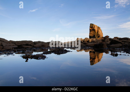 Una pila di mare formazione rocciosa conosciuta come Charlie's Garden, Collywell Bay, Seaton Sluice, Northumberland, England, Regno Unito Foto Stock