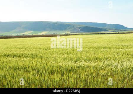 Paese spagnolo paesaggio in primavera Foto Stock