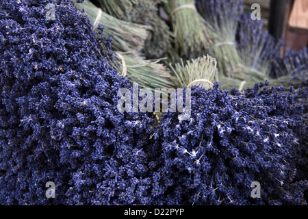Mazzi di fiori di lavanda su un mercato in stallo Sault in Haute-Provence Foto Stock