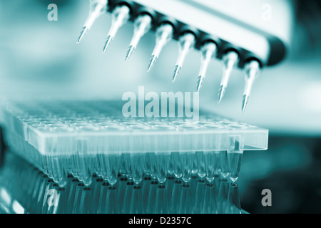 Multi-pipetta essendo utilizzato per riempire i pozzetti di una multi-pozzetto per vassoio per i campioni di stampa Foto Stock