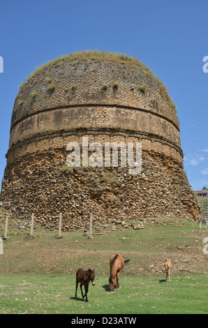 Shingardar stupa buddisti nella valle di Swat, nel Nord Pakistan con cavalli e muli in primo piano Foto Stock