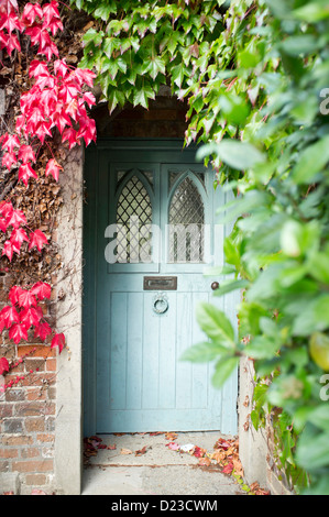 La porta anteriore di una casa, circondato da Virginia superriduttore Foto Stock