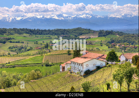 Casa rurale tra le verdi colline e vigneti e montagne con cime innevate sullo sfondo in primavera in Piemonte, Italia settentrionale. Foto Stock