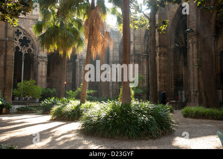 Piazza della Cattedrale di Santa Croce e di Santa Eulalia di Barcellona. Catalunya, Catalogna, Spagna. Foto Stock