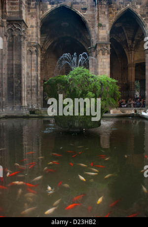 La fontana nell atrio della Santa Eulalia nella cattedrale di Barcellona. Catalunya, Catalogna, Spagna. Foto Stock