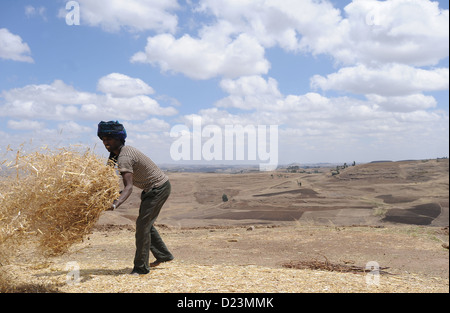 Mangudo, Etiopia, un agricoltore il lavoro nel campo Foto Stock