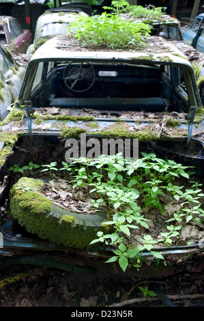 Kaufdorf, Svizzera, la storica vettura cimitero Guerbet Foto Stock