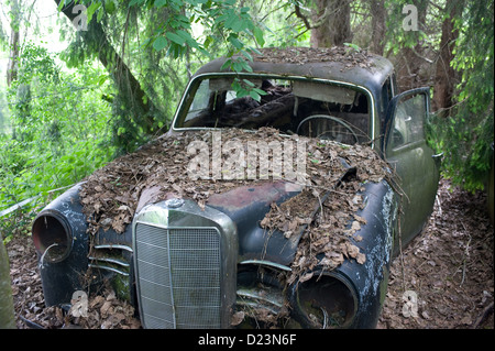 Kaufdorf, Svizzera, la storica vettura cimitero Guerbet Foto Stock