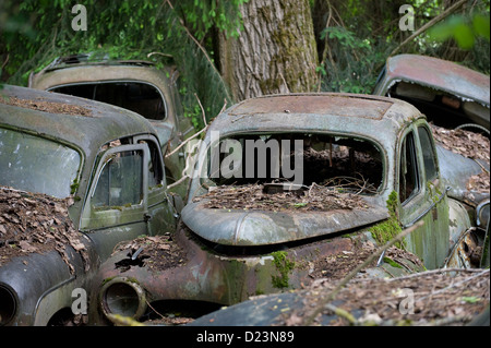 Kaufdorf, Svizzera, la storica vettura cimitero Guerbet Foto Stock