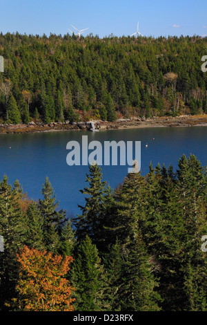 Punta di piedi Mountain Trail e in punta di piedi città di montagna parco, Vinalhaven Isola, Maine, Stati Uniti d'America Foto Stock