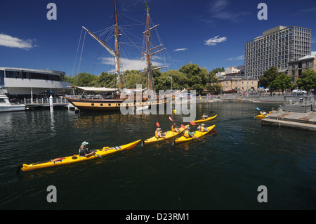 Fare kayak in marina, Hobart, Tasmania, Australia. No signor o PR Foto Stock