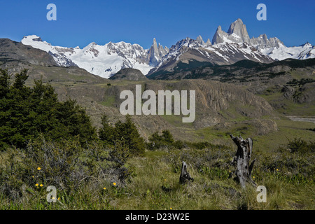 Mt. Fitz Roy e Cerro Torre, gamma Fitz Roy delle Ande, Los Glaciares NP, Patagonia, Argentina Foto Stock