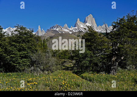 Mt. Fitz Roy e Cerro Torre, gamma Fitz Roy delle Ande, Los Glaciares NP, Patagonia, Argentina Foto Stock