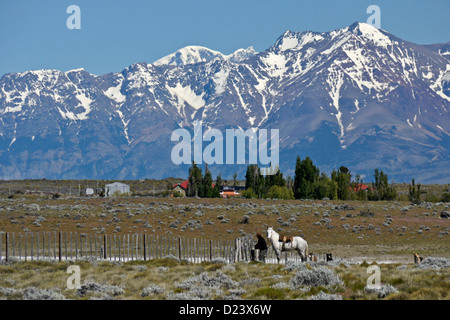 Gaucho, estancia e gamma Fitz Roy di Los Andes Los Glaciares NP, Patagonia, Argentina Foto Stock