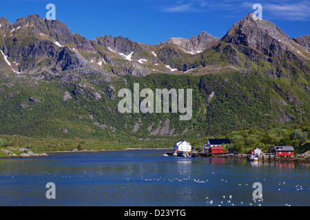 New Scenic 5 posti villaggio di pescatori di Kalle sul fiordo sulle isole Lofoten in Norvegia Foto Stock