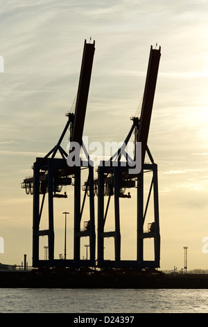 Gru al Terminal Burchardkai di sera, il porto di Amburgo, Germania Foto Stock